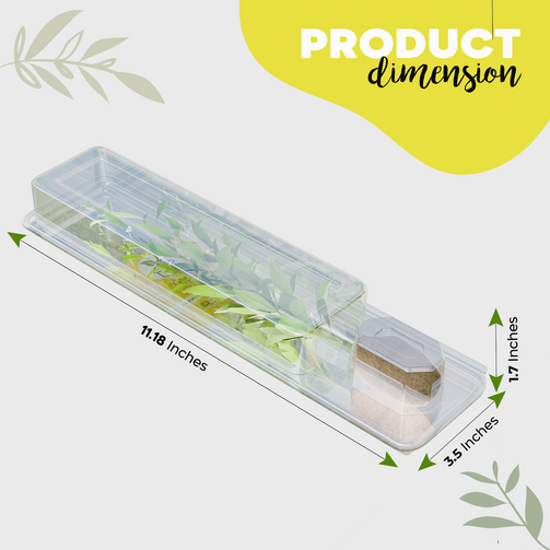 Tall Shipping Box for Plants | Live Plant Shipping Boxes |Clone Shippers | PlantsInABox