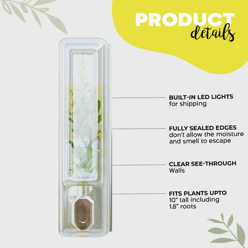 Tall Shipping Box for Plants | Live Plant Shipping Boxes |Clone Shippers | PlantsInABox