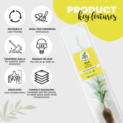 Tall Shipping Box for Plants | Live Plant Shipping Boxes |Clone Shippers | PlantsInABox