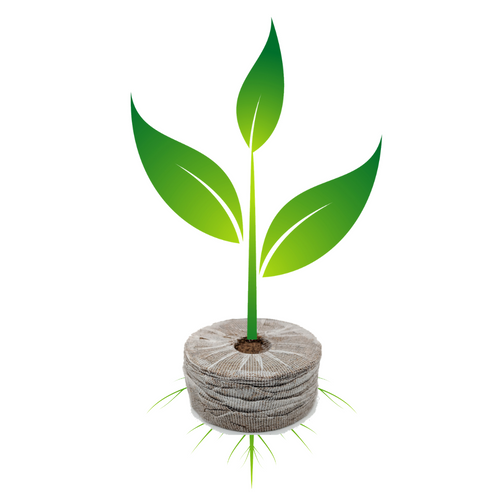 It is important that you can see the plant's roots poking out through the medium. Otherwise, wrap in a wet towel.