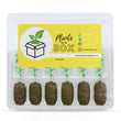 6-Plants Multi-Pack Shipping Box for Plants