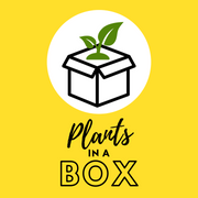PlantsInABox Store Logo