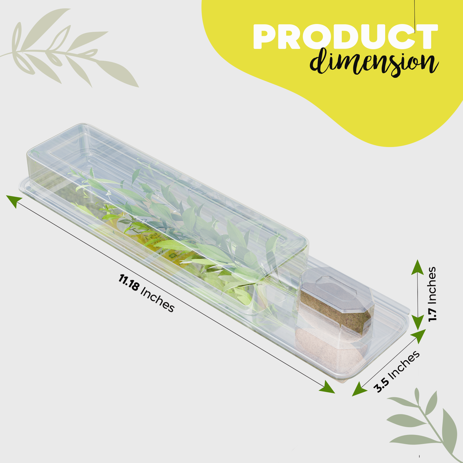 Tall Shipping Box for Plants | Live Plant Shipping Boxes |Clone Shippers | PlantsInABox