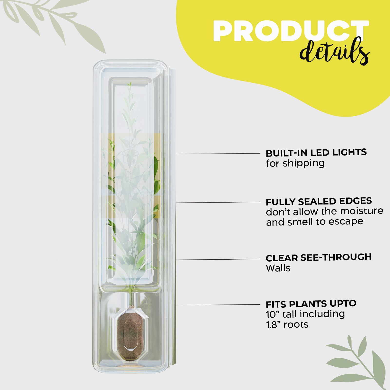 Tall Shipping Box for Plants | Live Plant Shipping Boxes |Clone Shippers | PlantsInABox