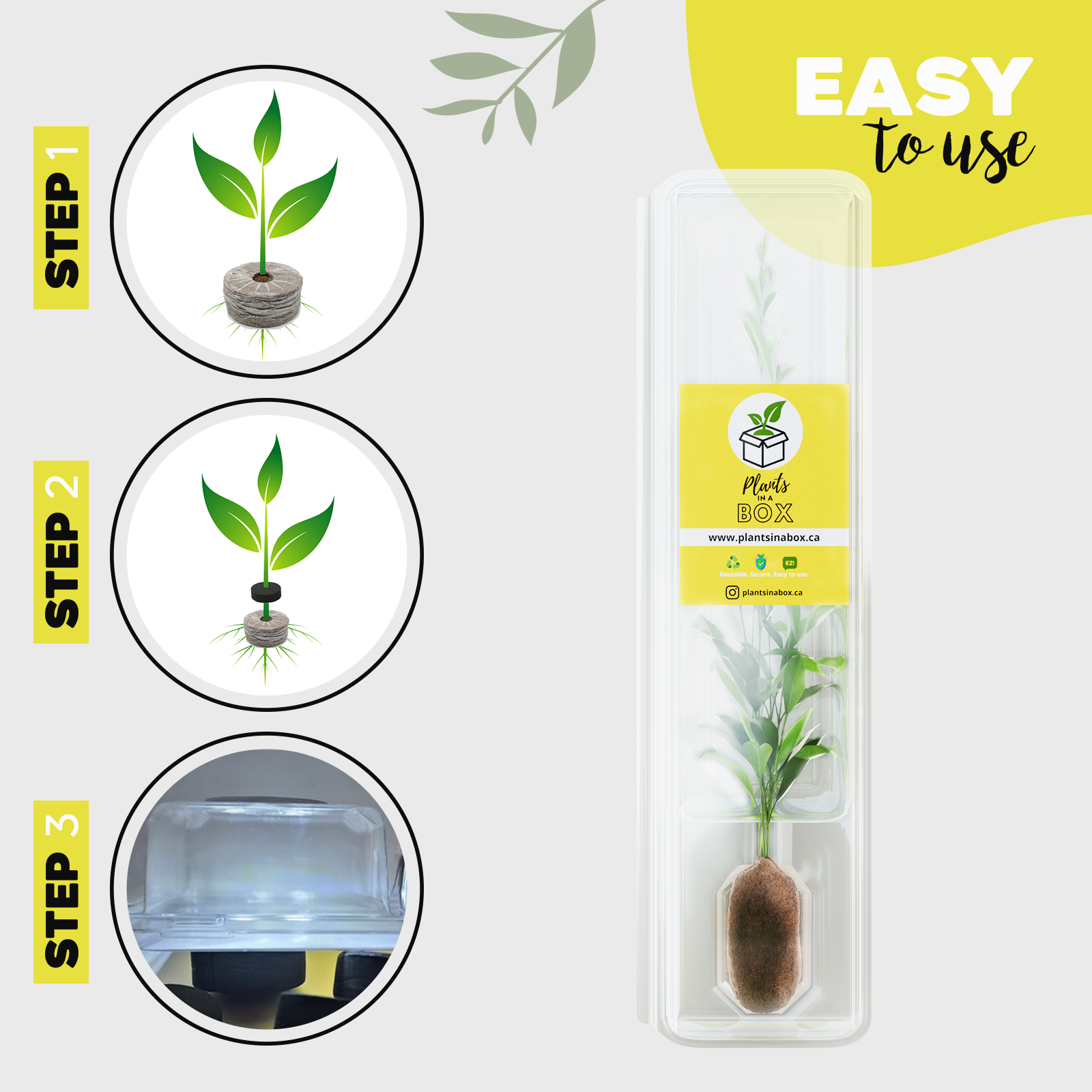 Tall Shipping Box for Plants | Live Plant Shipping Boxes |Clone Shippers | PlantsInABox