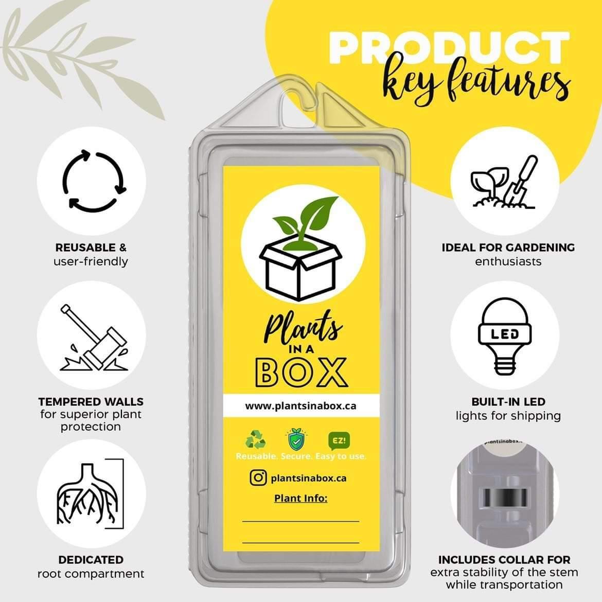 Shipping Box for Plants | Live Plant Shipping Boxes | PlantsInABox