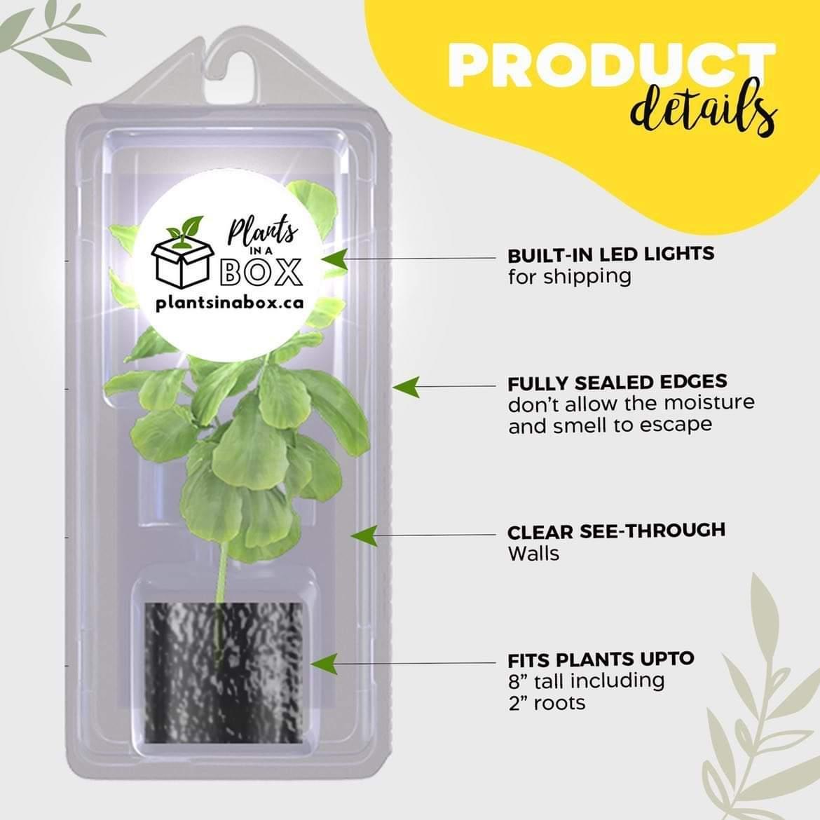 Shipping Box for Plants | Live Plant Shipping Boxes | PlantsInABox